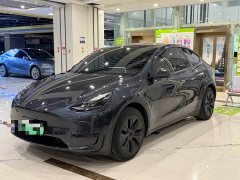 Tesla Model Y Rear-Wheel Drive - ფოტო 1