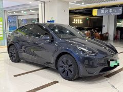 Tesla Model Y Rear-Wheel Drive - ფოტო 3