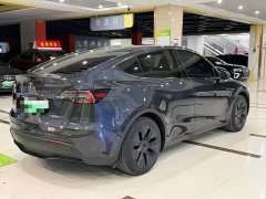 Tesla Model Y Rear-Wheel Drive - ფოტო 7