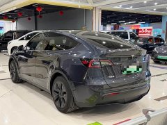 Tesla Model Y Rear-Wheel Drive - ფოტო 9
