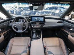 Lexus ES 300h Premium Edition - ფოტო 13