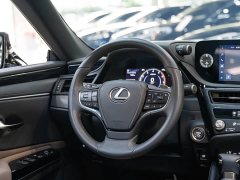 Lexus ES 300h Premium Edition - ფოტო 14
