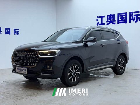 2023 Haval H6 National Trend Edition 1.5T Automatic Urban Version - ავტომობილი ჩინეთიდან