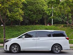 Buick GL8 ES Luxe Comfort - ფოტო 4