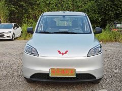 Wuling Hongguang New Energy 2024 Pure Electric 300KM Standard - ფოტო 1