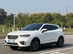 Great Wall WEY VV5 1.5T Two-Wheel Drive Color Pioneer - ფოტო 1