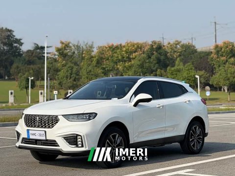 2021 Great Wall WEY VV5 1.5T Two-Wheel Drive Color Pioneer - ავტომობილი ჩინეთიდან