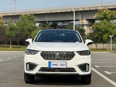 Great Wall WEY VV5 1.5T Two-Wheel Drive Color Pioneer - ფოტო 2