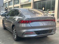 BYD Qin PLUS Champion Edition DM-i 55KM Leading - ფოტო 4