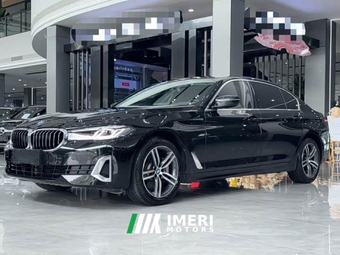 2021 BMW 5 Series 530Li Premier Luxury Package - ავტომობილი ჩინეთიდან