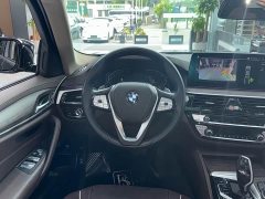 BMW 5 Series 530Li Premier Luxury Package - ფოტო 8