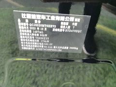 Denza BYD Denza D9 DM-i 1050 Premium - ფოტო 6