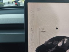 Tesla Model 3 Rear-Wheel Drive - ფოტო 10