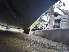 Tesla Model 3 Rear-Wheel Drive - ფოტო 18