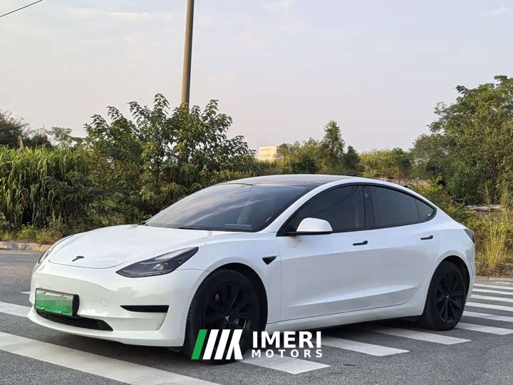 Tesla Model 3 Standard Range RWD Upgrade 3D6