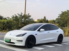 Tesla Model 3 Standard Range RWD Upgrade 3D6 - ფოტო 1