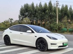 Tesla Model 3 Standard Range RWD Upgrade 3D6 - ფოტო 2