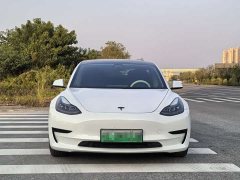Tesla Model 3 Standard Range RWD Upgrade 3D6 - ფოტო 3