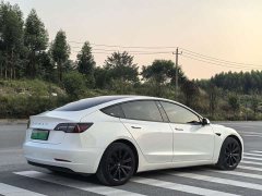 Tesla Model 3 Standard Range RWD Upgrade 3D6 - ფოტო 4