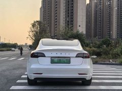 Tesla Model 3 Standard Range RWD Upgrade 3D6 - ფოტო 5