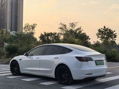 Tesla Model 3 Standard Range RWD Upgrade 3D6 - ფოტო 6