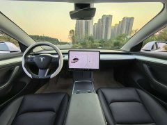 Tesla Model 3 Standard Range RWD Upgrade 3D6 - ფოტო 9
