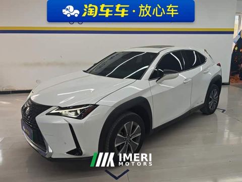 2022 Lexus UX New Energy 300e Pure Joy Edition