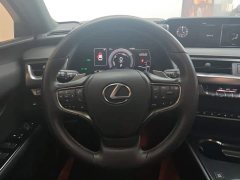 Lexus UX New Energy 2020 300e Pure Joy Edition - ფოტო 15