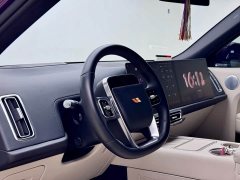 Li Auto L9 Max - ფოტო 8