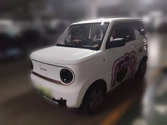 Geely Panda Mini 200km Endurance Edition - ფოტო 1
