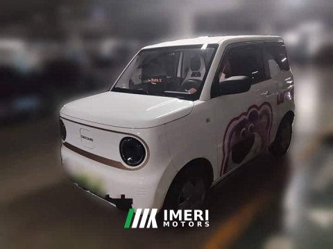 2024 Geely Panda Mini 200km Endurance Edition - ავტომობილი ჩინეთიდან