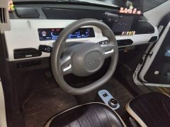 Geely Panda Mini 200km Endurance Edition - ფოტო 10