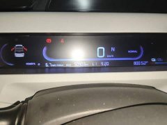 Geely Panda Mini 200km Endurance Edition - ფოტო 12
