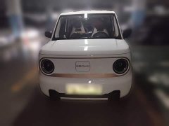 Geely Panda Mini 200km Endurance Edition - ფოტო 2