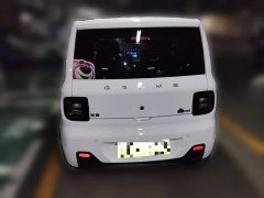 Geely Panda Mini 200km Endurance Edition - ფოტო 20
