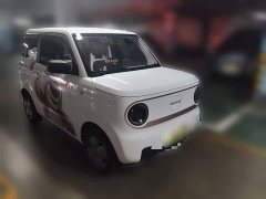 Geely Panda Mini 200km Endurance Edition - ფოტო 3