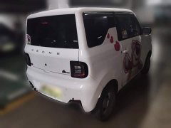 Geely Panda Mini 200km Endurance Edition - ფოტო 6