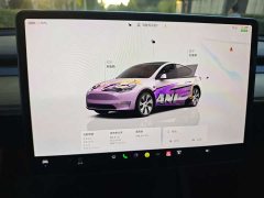 Tesla Model Y Long Range All-Wheel Drive - ფოტო 15