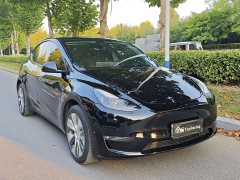 Tesla Model Y Long Range All-Wheel Drive - ფოტო 3