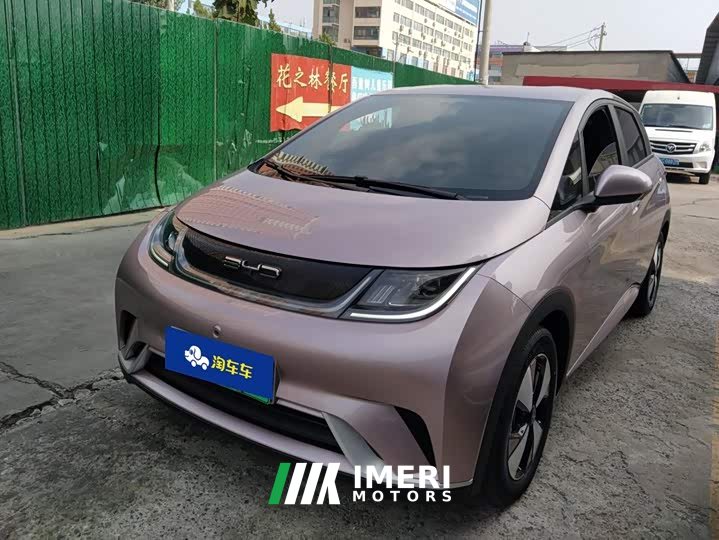 BYD Dolphin 2023 420km Freedom Edition - ავტომობილი ჩინეთიდან