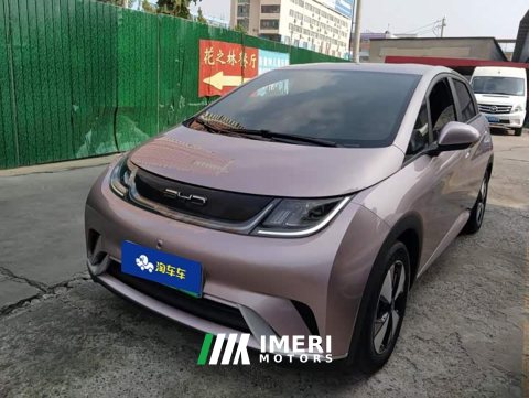 2024 BYD Dolphin 2023 420km Freedom Edition - ავტომობილი ჩინეთიდან