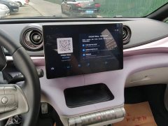 BYD Dolphin 2023 420km Freedom Edition - ფოტო 13