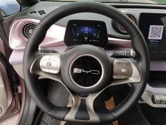 BYD Dolphin 2023 420km Freedom Edition - ფოტო 15