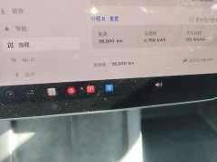 Tesla Model 3 Rear-Wheel Drive - ფოტო 13