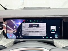Tank 500 New Energy 2026 Hi4-T Smart Comfort Edition - ფოტო 13