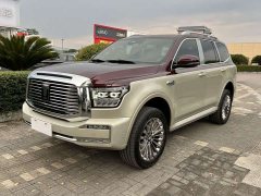 Tank 500 3.0T Premium Custom Edition 5-Seater - ფოტო 1