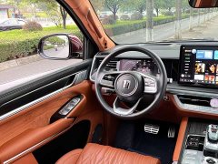 Tank 500 3.0T Premium Custom Edition 5-Seater - ფოტო 11