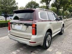 Tank 500 3.0T Premium Custom Edition 5-Seater - ფოტო 12