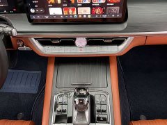 Tank 500 3.0T Premium Custom Edition 5-Seater - ფოტო 7