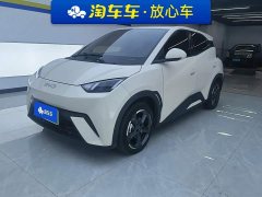 BYD Seagull Glory Edition 405km Flying Edition - ფოტო 1